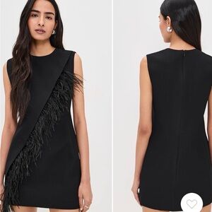 Elegant ALC Black Sleeveless Dress with Feather Detail